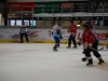 ESF Griesenbrauck - EIHC Phantoms 404